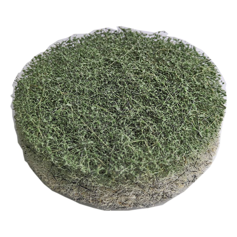 3" DIAMOND BURNISHING PAD, 3000 Grit