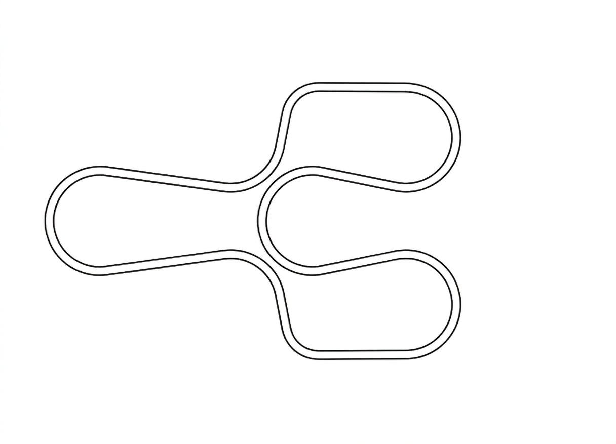 Primary Drive Belts